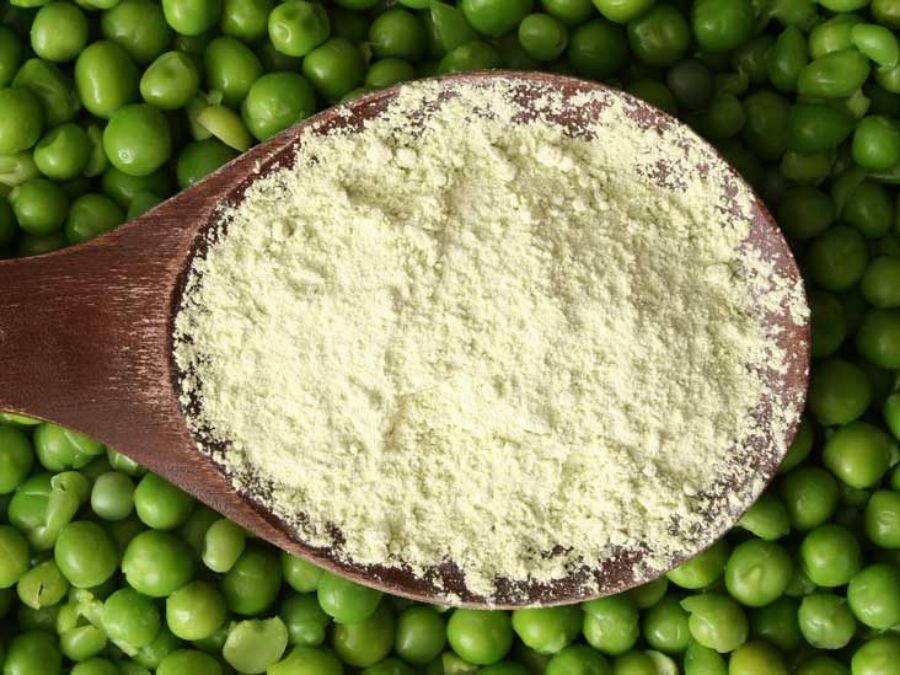 Bezelye Proteini (Pea Protein)