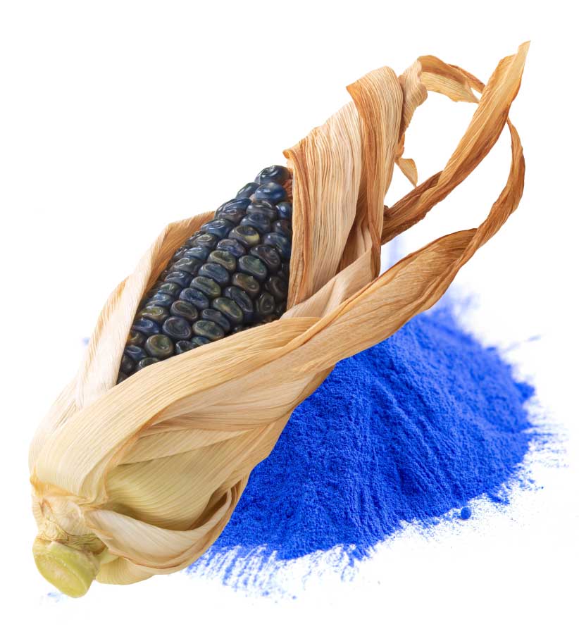 Blue Corn Extract (Mavi Mısır Özü)