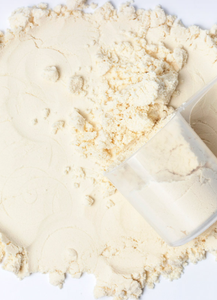 WPC 80 (Whey Protein Konsantresi %80)